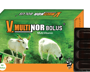 Multivitamin Bolus For Goat, Sheep And Cattle 4 Bolus